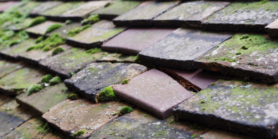 Turves roof repair costs